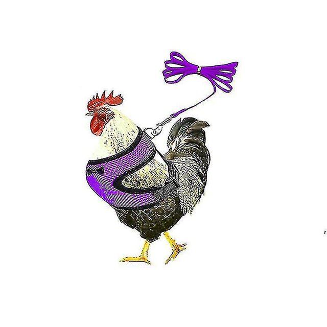 Chicken Harness And Leash, Modified Adjustable Breathable Harness Specially Designed For Chicken Duck Goose Training