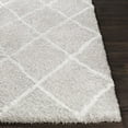thumbnail image 3 of Surya Urban Shag 2' X 2'11" Rectangle Area Rugs USG2306-23, 3 of 7
