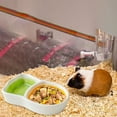thumbnail image 4 of Ceramic Hamster Food Bowl Small Animal Feeder Durable Pet Dish for Rabbits Gerbils Hedgehogs and Hermit Crabs, 4 of 4