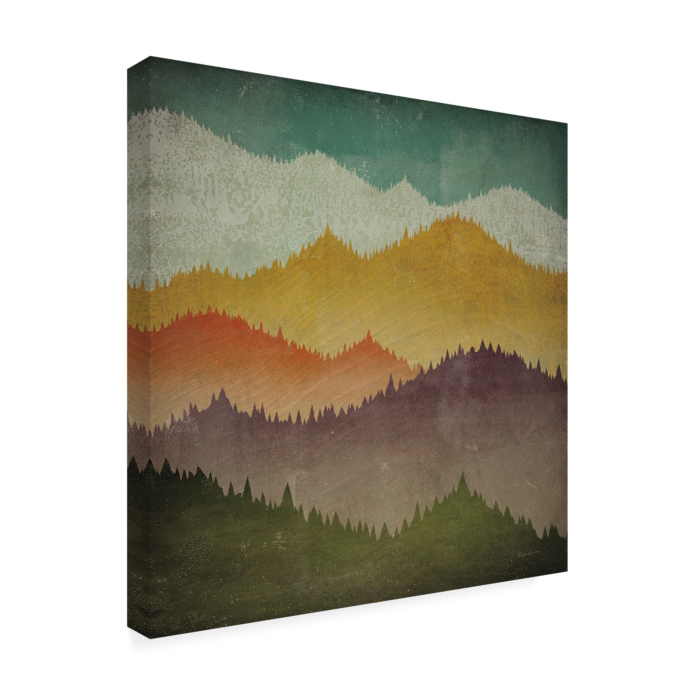 Ryan Fowler 'A Mountain VIew' Outdoor Canvas 18x24