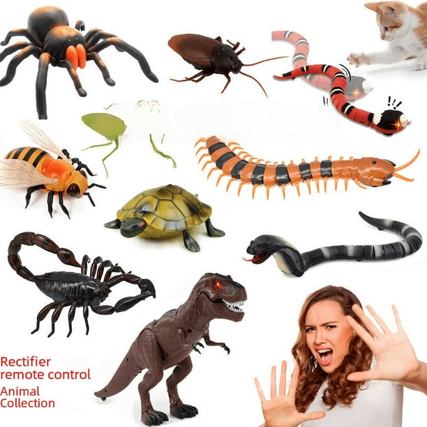 Control remoto biónico animal insecto control remoto cucaracha ciempiés Rana eléctrica cangrejo truco araña juguete serpiente salvaje ratón