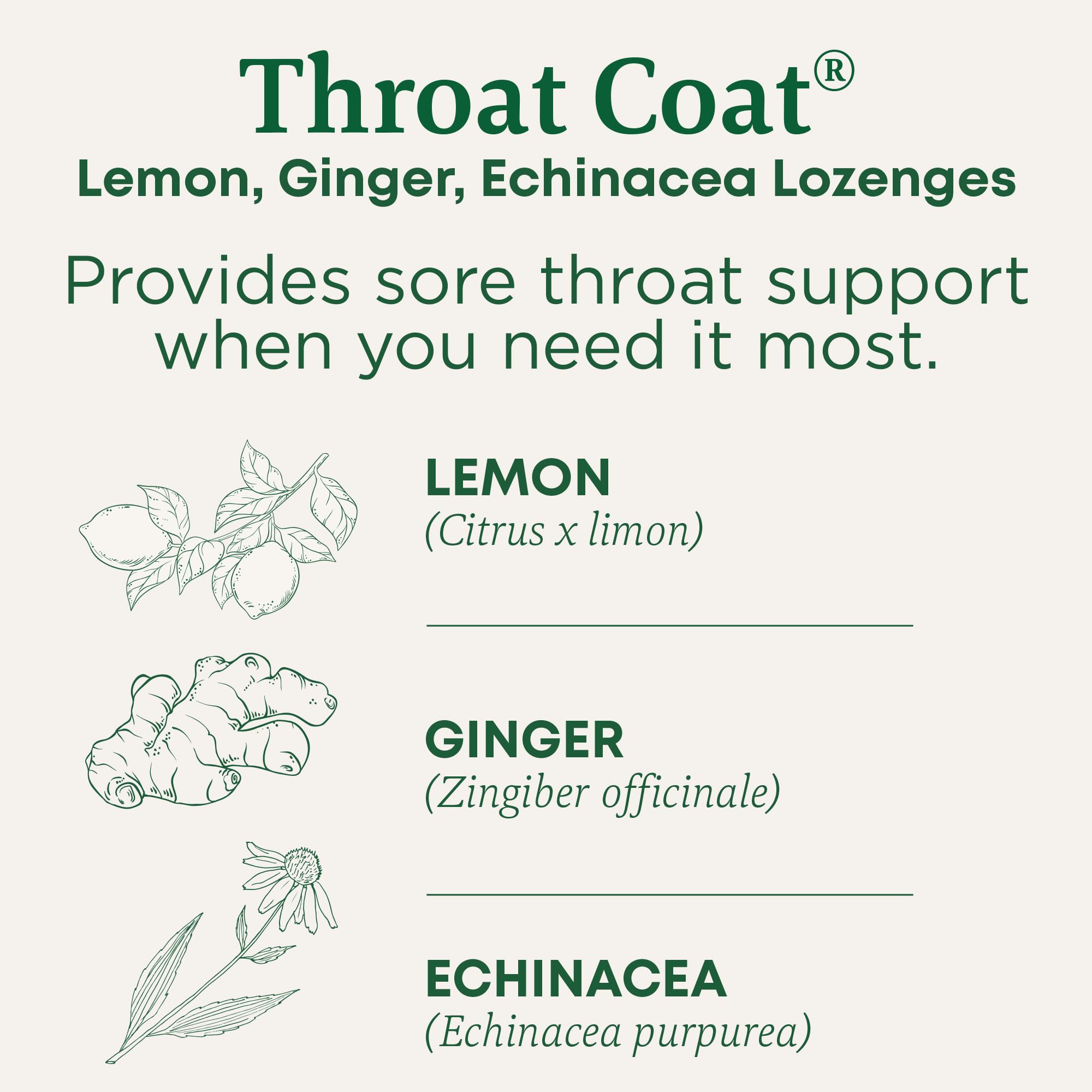 (Pack Of 12) Traditional Medicinals Lozenge Lemon Ginger 16 Pieces