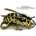 thumbnail image 3 of CafePress - Common Yellowjacket Wasp Mug - 11 oz Ceramic Mug - Novelty Coffee Tea Cup, 3 of 6