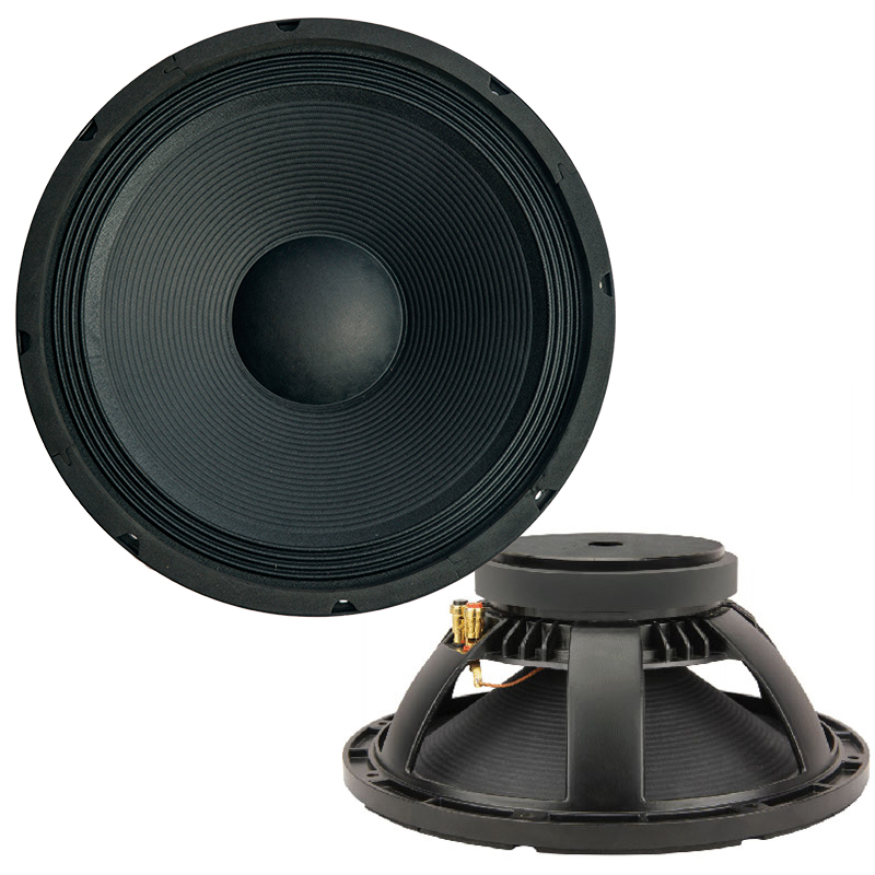 5 core 12 inch speaker