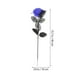 thumbnail image 2 of 10 unids Halloween Ojos Rose Flor Halloween Decoración de diseño interior Rose, 2 of 5