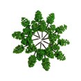 thumbnail image 4 of Billuyoard Paquete de 20 árboles artificiales simulados de plástico, manualidades DIY, jardinería, paisaje, decoración, plantas, suministro de Decoración del hogar, 4 of 6