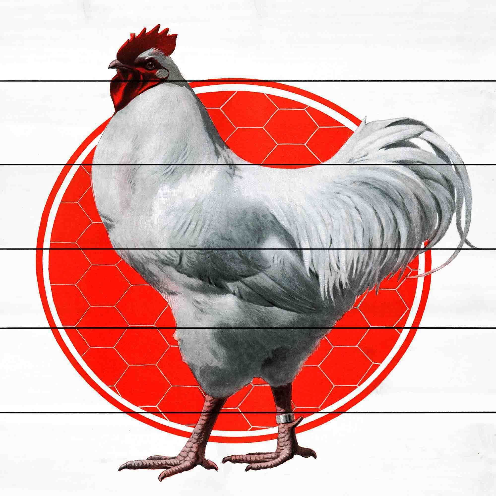Marmont Hill "Journal Fowl" Painting Print on White Wood
