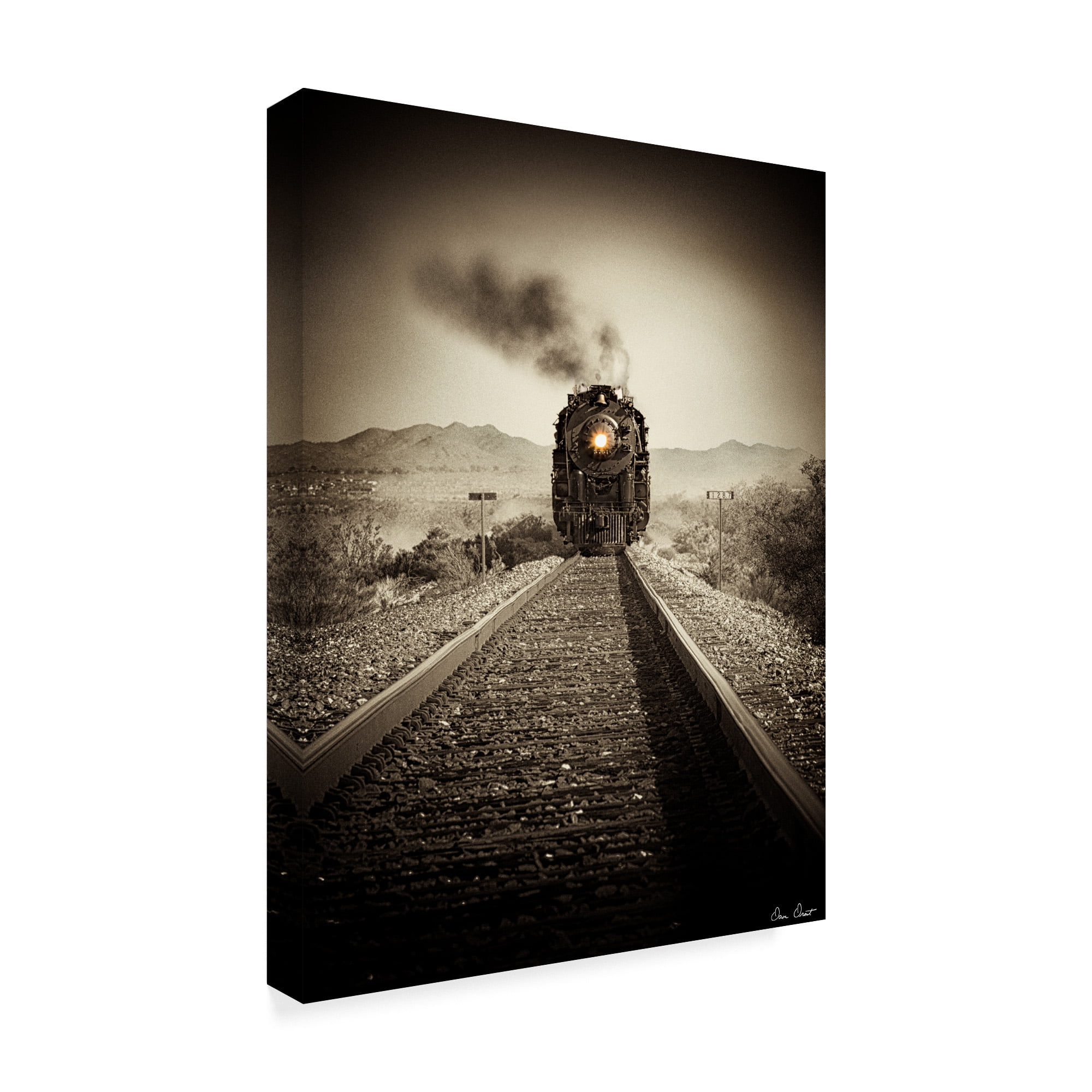 Trademark Fine Art 'Train Arrival II' Canvas Art by David Drost