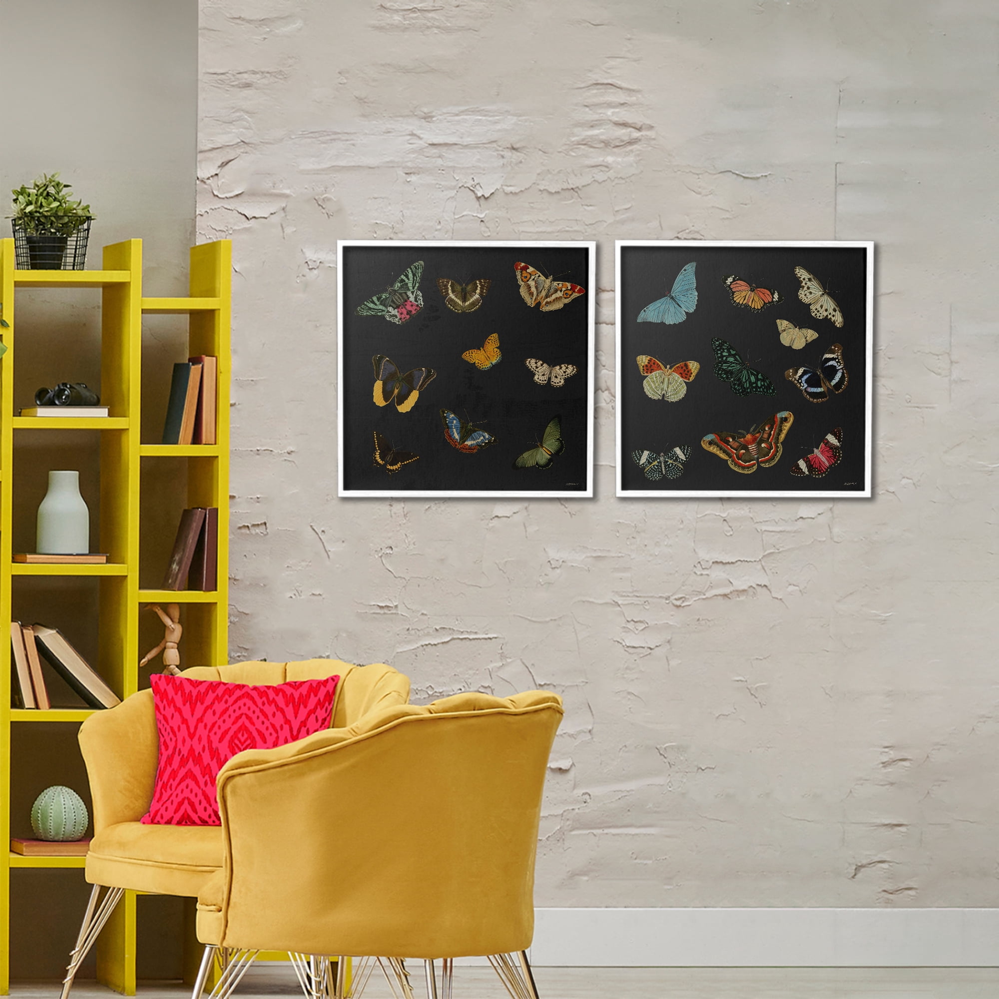 Stupell Industries Entomology Collection on Black 2 Piece White Framed Giclee Art Set, design by Dan Meneely