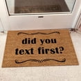 thumbnail image 2 of 16x24 Inch Summer Coir Mat Stencils Outdoor Mats for Front Door Door Rugs for Outdoor Entryway Welcome Doormat Waterproof All-Season Front Door Mat Outside Entrance, did you text first?, 2 of 5