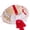 dark red, variant on Girls Women Tea Party Sun Hat Realistic Flower Daisies Decorations Lace Ribbon Straw Hats Small for Adults Kids