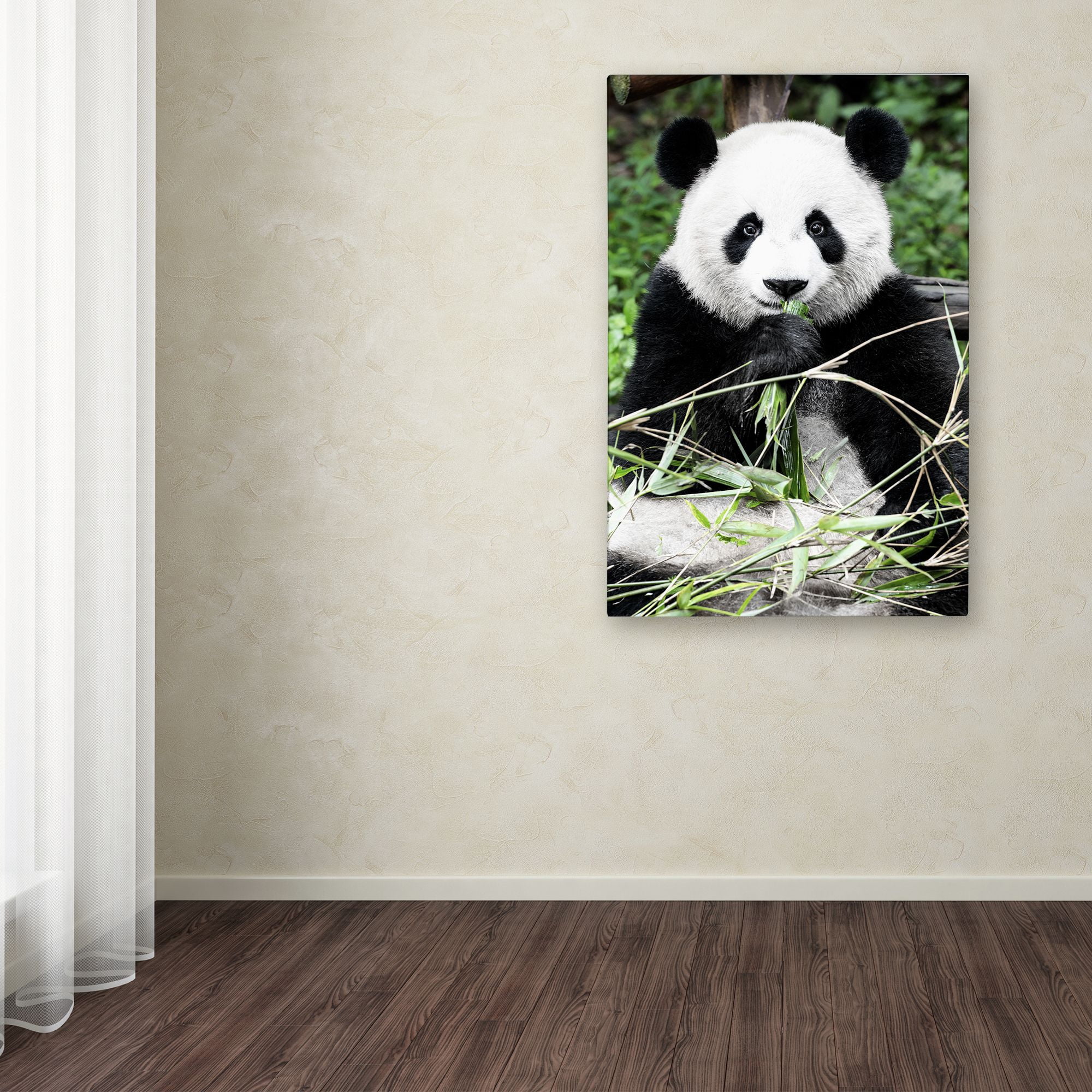 Trademark Fine Art "Giant Panda" Canvas Art by Philippe Hugonnard