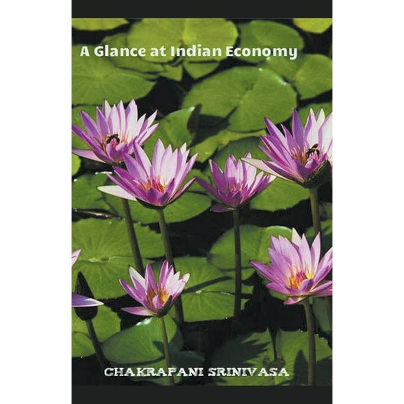 A Glance at Indian Economy, (Paperback)