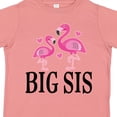 thumbnail image 4 of Inktastic Sister Announcement Flamingo Sister Girls Toddler T-Shirt, 4 of 5