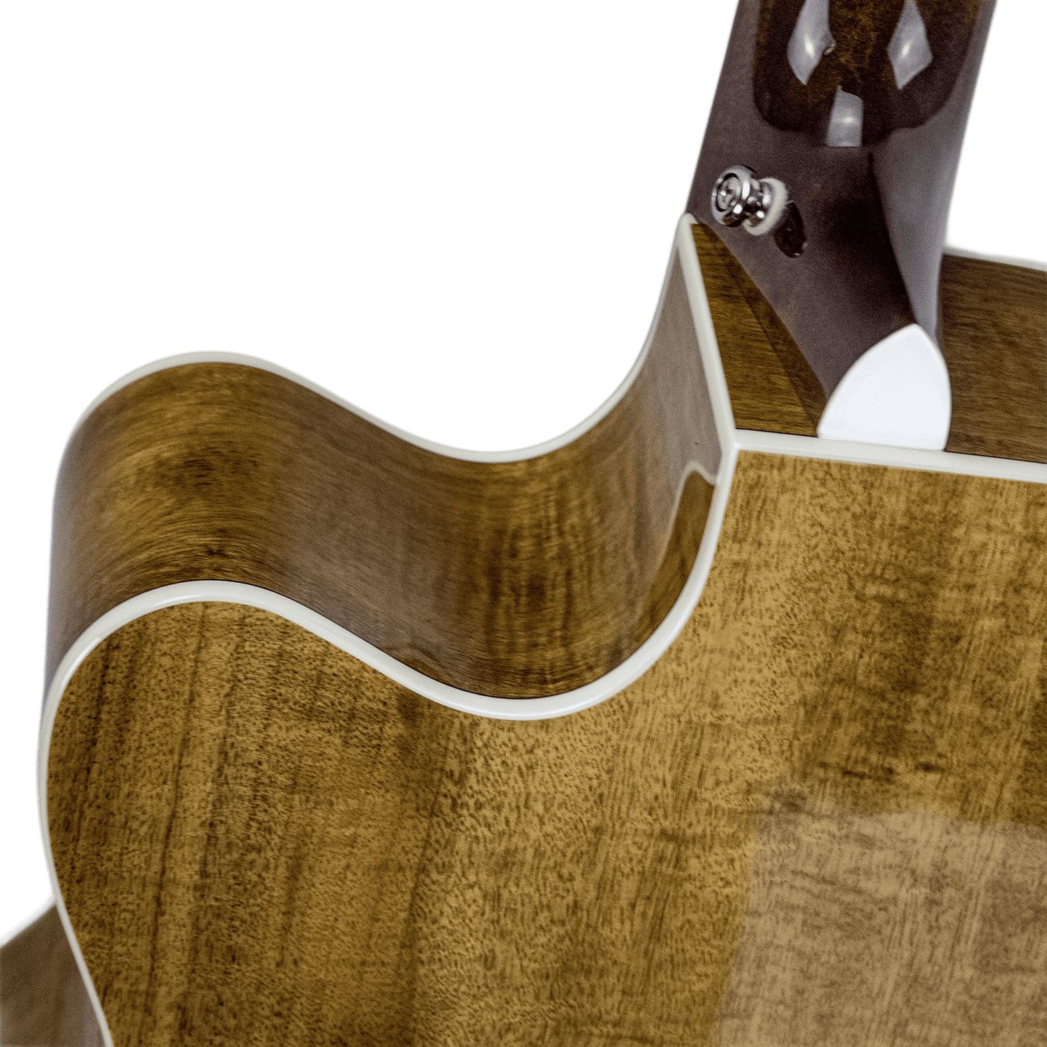 Sawtooth Myrtlewood Jumbo Cutaway 24 Fret Acoustic Electric Guitar with Spruce Top