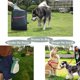thumbnail image 5 of Pala para recoger excrementos de perro portátil con dispensador de bolsas (verde azulado), 5 of 5