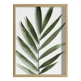 thumbnail image 2 of Blake Botanical 5F 18 in x 24 in Framed Painting Art Print, by Kate and Laurel, 2 of 6