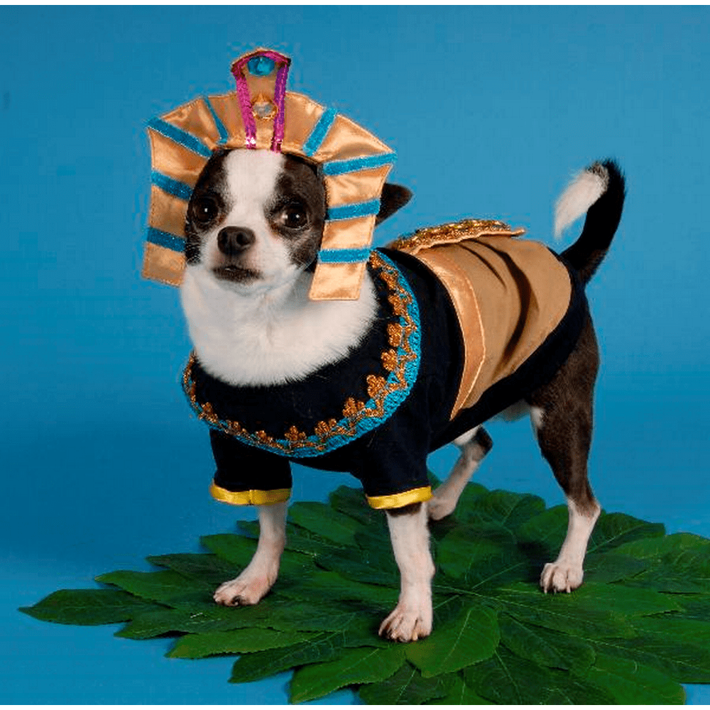 KING MUTT DOG COSTUMES King Tut Egyptian Royalty Pharaoh Dogs Halloween