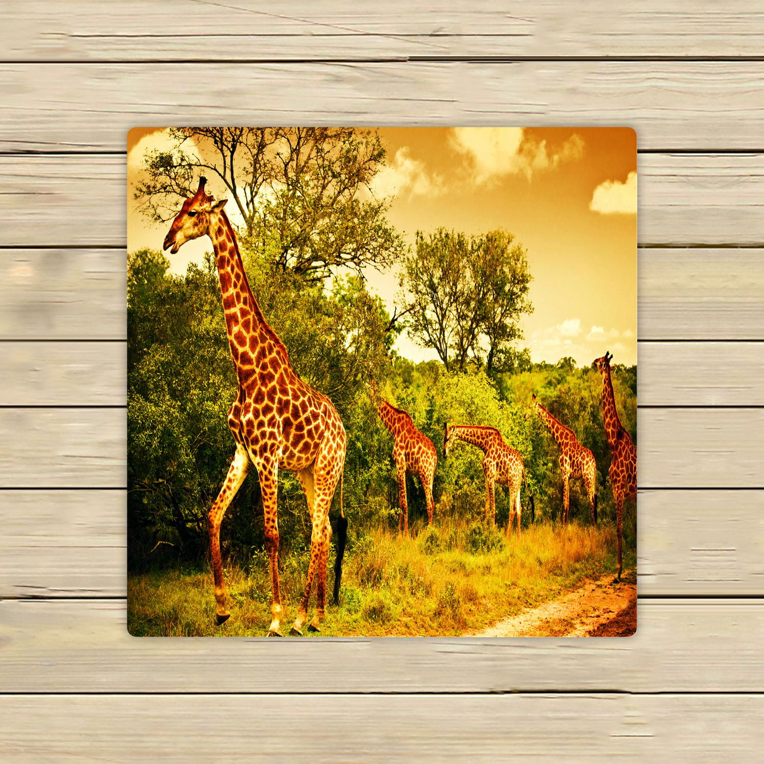 Phfzk Wildlife African Safari Towel Giraffe And Animals Art Wild Jungle Desert Themed Orange Brown Green Hand Towel Bath Bathroom Shower Towels Beach Towel 13x13 Inches Walmart Com Walmart Com