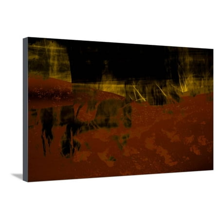 firefly stretched canvas print