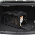 thumbnail image 6 of Pet Carrier for Large and Medium Cats up to 25 Lbs,Soft-Sided Pet Carrier for Big Medium Cats and Puppy Dog Carriers Cat Carriers,TSA Airline Approved Pet Privacy Protection Travel Carrier - Black, 6 of 6