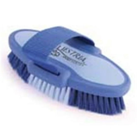 UPC: 0851799217137 | 6.75 Inch Small Equestrian Sport Oval Body Brush – Blue – 2171-3