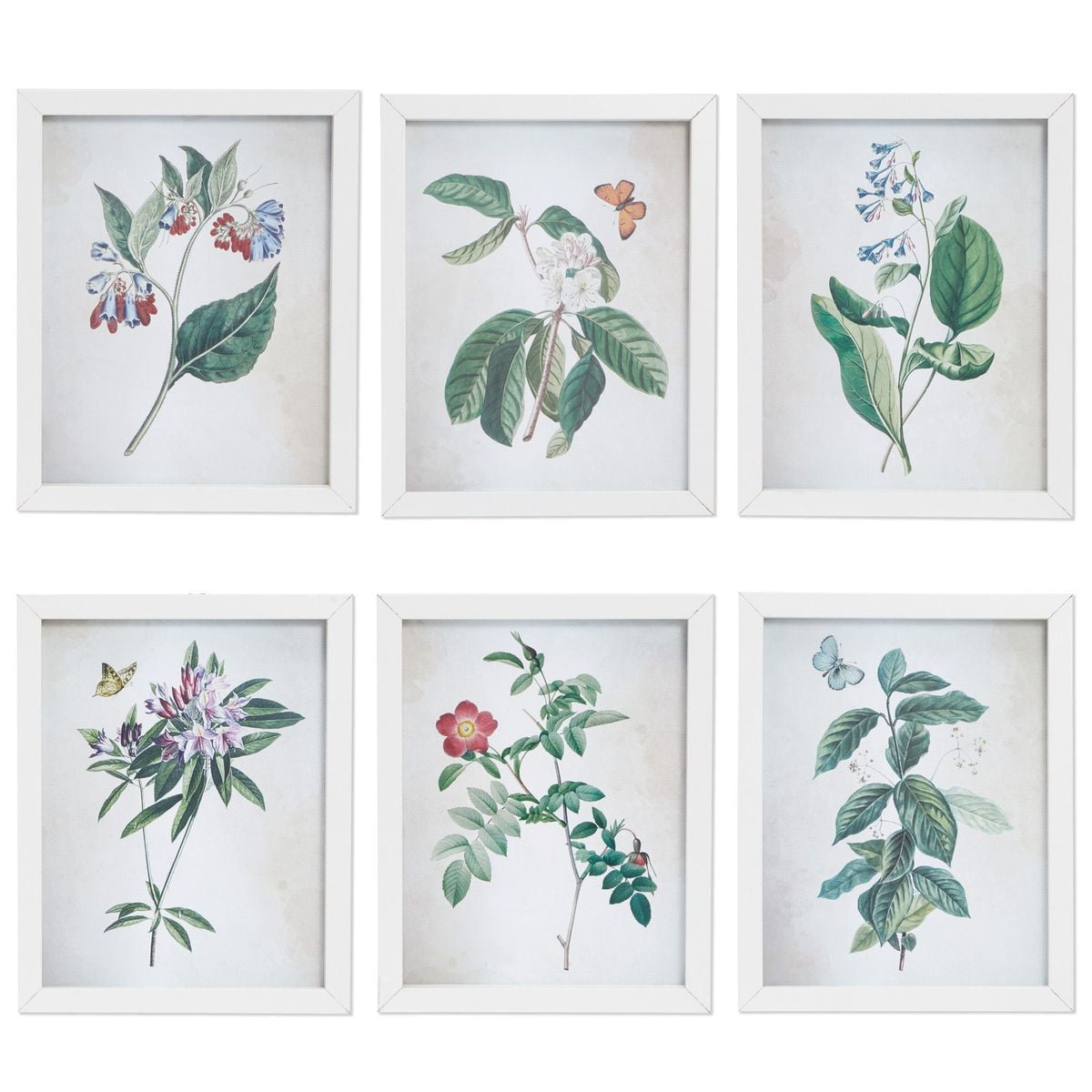 wall deco prints set of 3 *UNFRAMED* Botanical Prints