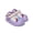 Frozen, variant on Bluey Toddler Faux Fur Lined Clogs
