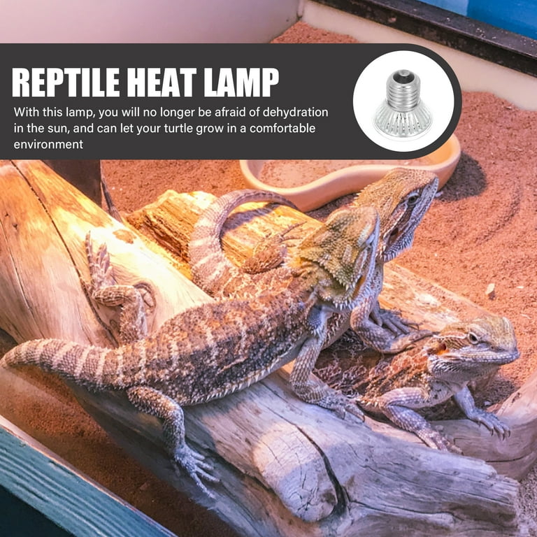 Bearded dragon bulbs online