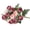 PK, variant on Fresh Peony Buds, Small Rustic Bouquet for Home Decoration | Stage Floral Arrangements, Dried Natural Flower Bundle, 5-7 Stems Per Bunch