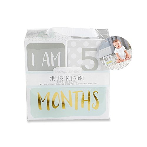 milestone baby blocks