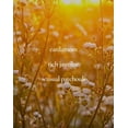 thumbnail image 6 of Avon Classics Collection Timeless Cologne for Women, Soft Floral Fragrance with Jasmine & Patchouli, 1.7 fl oz, 2 Pack, 6 of 8