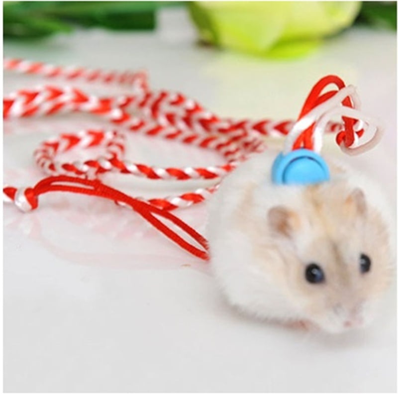 Animal Leash Rope For Hamster Mouse Squirrel Sugar Glider Harness Leashes S1 