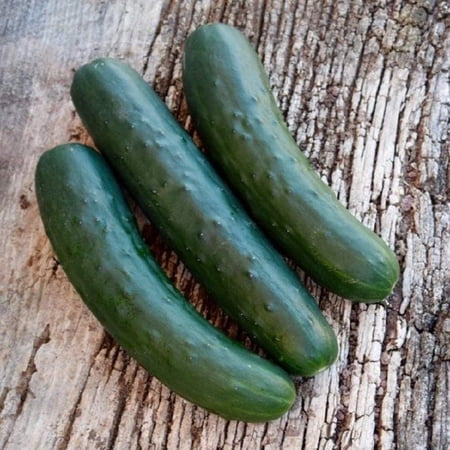 Marketmore 76 Cucumber Seeds - 200 Count Seed Pack - A Sweet mild Flavor and are Great for Slicing and Adding to Many of Your Favorite Dishes - Country Creek LLC