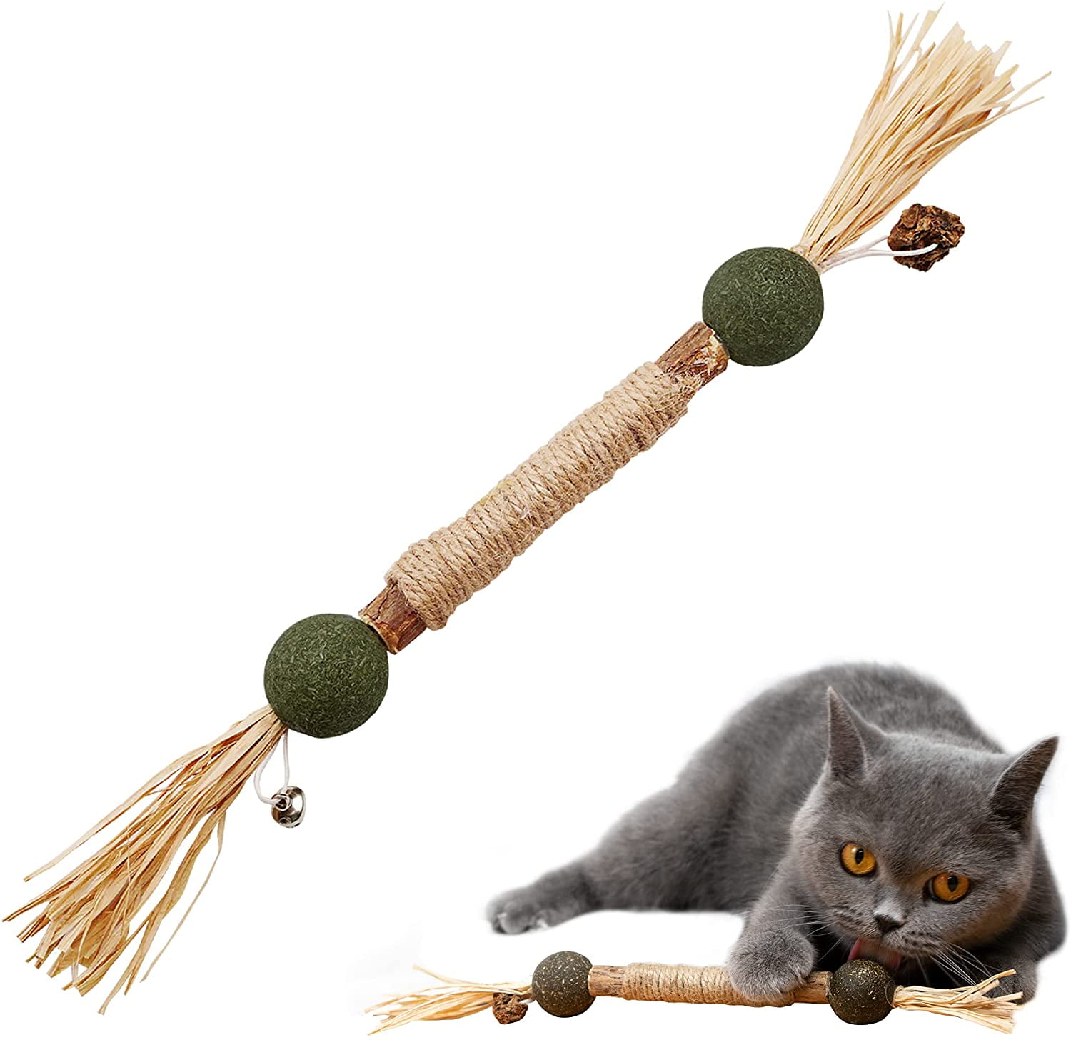 lost dog with rabies tag