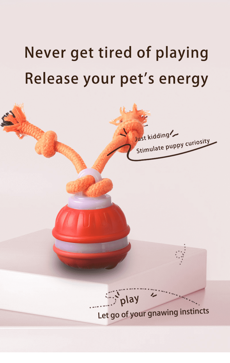 Interactive Dog Toys Ball, Fun Moving Motion Activated Dog Ball Toys to Keep Them Busy, Rechargeable Smart Automatic Rolling Dog Ball for Small Puppy Dogs