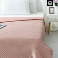 thumbnail image 2 of Cozy Tyme Bisa Weighted Blanket - 20 Pound Dot Velvet Cover 60"x 80" Blush, 2 of 10