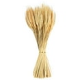 thumbnail image 2 of 120 Stems Dried Wheat Sheaves, Dried Wheat Stalks, Natural Wheat Bouquet Bundle for DIY Craft, Artificial Flowers Arrangement, Dining Table Decorations, Wedding Shooting Props, 2 of 7
