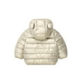 thumbnail image 3 of fatyb Toddler Winter Coat with Hood Lightweight Puffer Jackets Boys Girls Warm Pocket Padded Outwear, 3 of 7