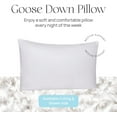 thumbnail image 4 of East Coast Bedding Balanced Dream 50/50 Goose Feather Down Pillow Pack of 1, Queen Size, 4 of 7