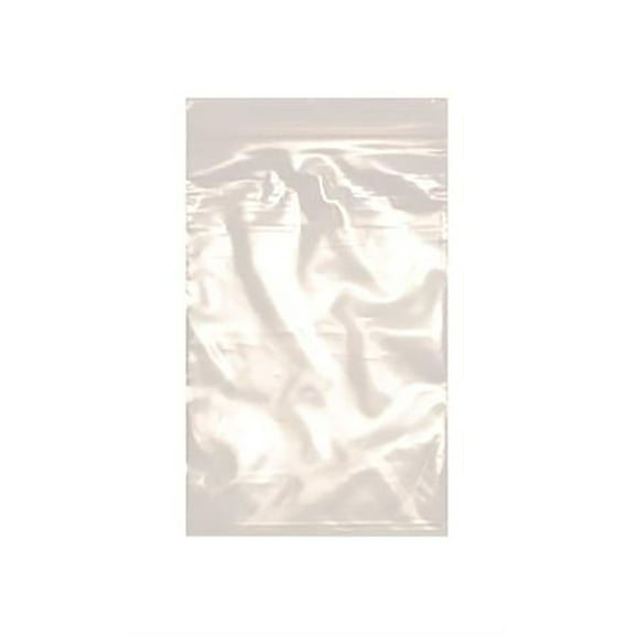 SSWBasics Resealable 6 x 9 inch Clear Plastic Bags - Case of 100