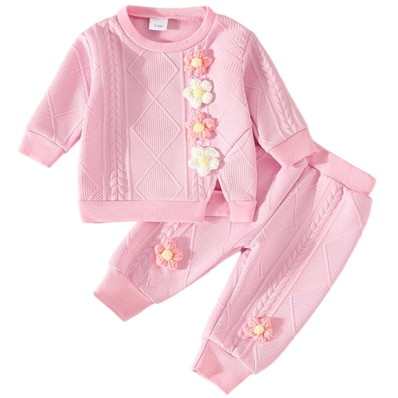 shoper Floral Print Girls Two Piece Set Long Sleeve Top and Pants Casual Outfit for Toddlers, 2T Girls Clothes