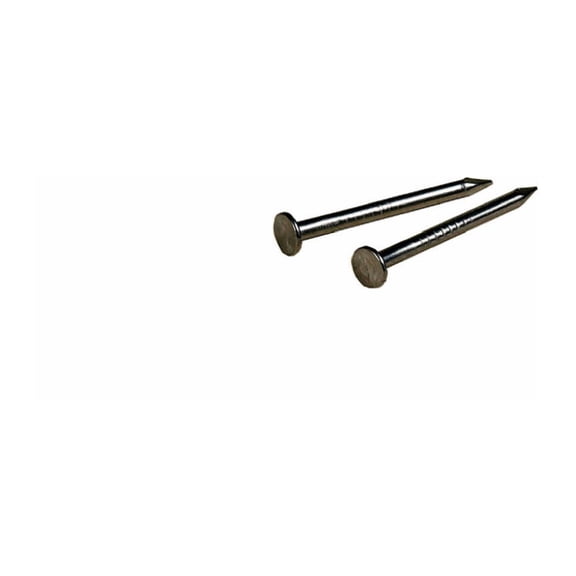 Hillman 122532 Wire Nail, 1 in L, Steel, Stainless Steel, Flat Head, Smooth Shank, Silver, 2 oz