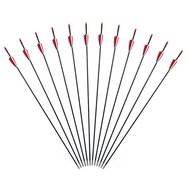 12 Uds. Arco compuesto de 6mm, flecha de fibra de vidrio envuelta con flechas,