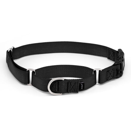 PetSafe Martingale Collar with Quick Snap Buckle