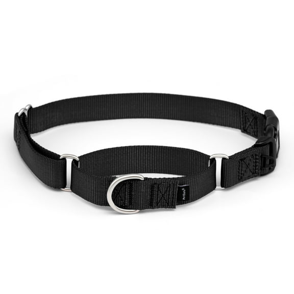 PetSafe Martingale Collar with Quick Snap Buckle