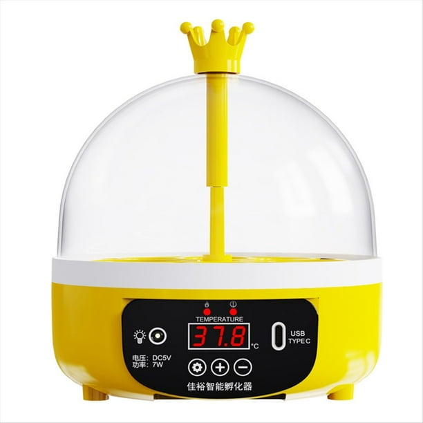 Incubadora de Huevos para el Hogar con Control de Temperatura y Humedad, 4 Huevos, Máquina para Incubar de Corral, Pollos y Patos.