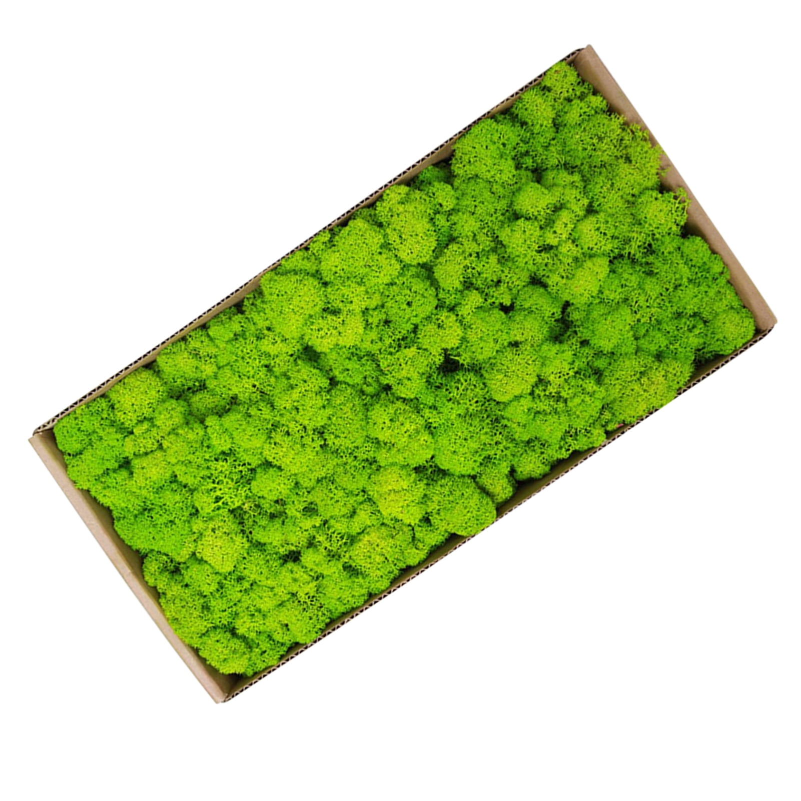 Moss Wall Decor Indoor Preserved Moss Gardenning Art Wall Decor Moss Bulk Micro Landscape Decorative Props