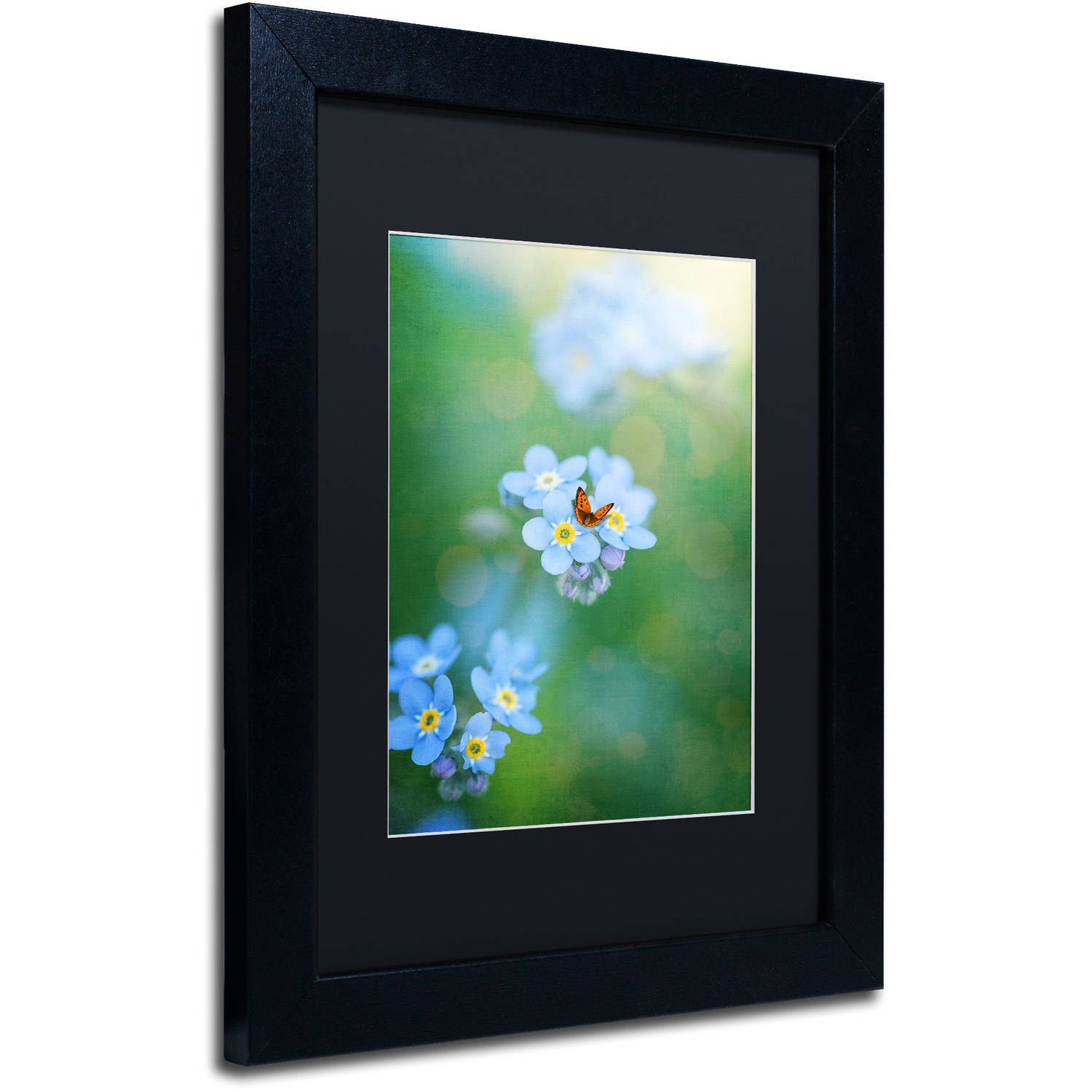 Trademark Fine Art "Forget-Me-Not" Canvas Art by Philippe Sainte-Laudy, Black Matte, Black Frame
