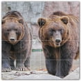thumbnail image 1 of Picture-Tiles.com: Bear Ceramic Tile Wall Mural WAL500109-44XL. 48"W x 48"H using (16) 12" x 12" Ceramic Tiles-Satin Finish, 1 of 3